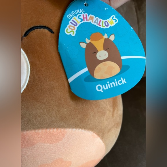 Quinick Squishmallow🧡 - Picture 3 of 4